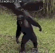 4M9ekom.gif