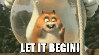 tumblr_md8kc1xcfR1r2gj7wo1_400.gif
