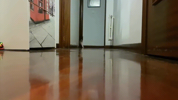 lzbPfVl.gif