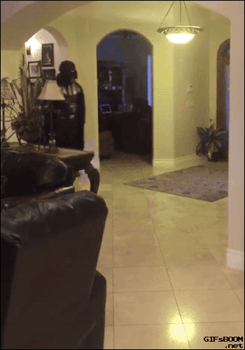 tumblr_nx0o2hefmf1s02vreo1_400.gif