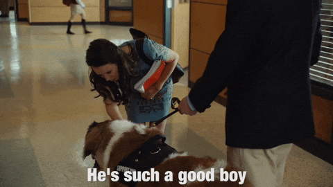 giphy.gif