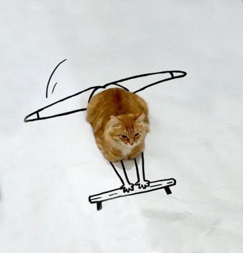 tumblr_nz01wzDMQ61qzcv7no5_500.jpg