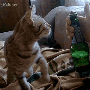 tumblr_o8nenhnsWO1ukldkho1_400.gif