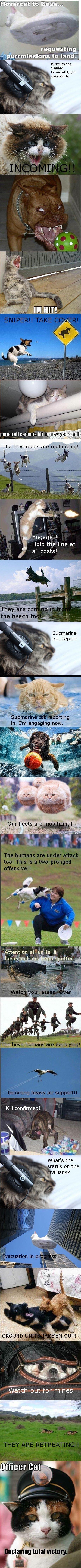 picdump-13-05-17-156.jpg