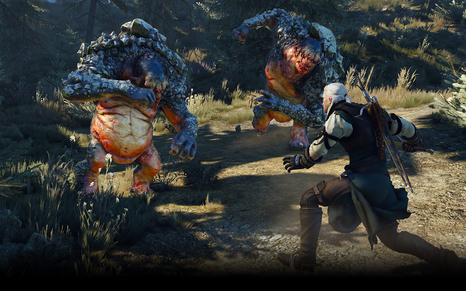 the_witcher_3_new3004_0002-pc-games.jpg