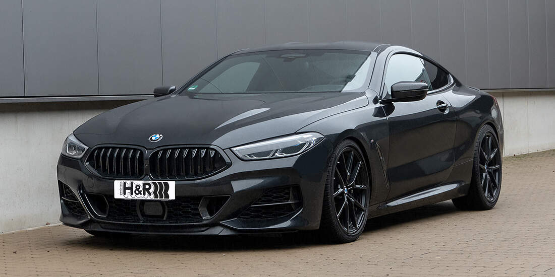H-R-BMW-8er-Coup--articleDetailWide-e1b620ea-1399692.jpg