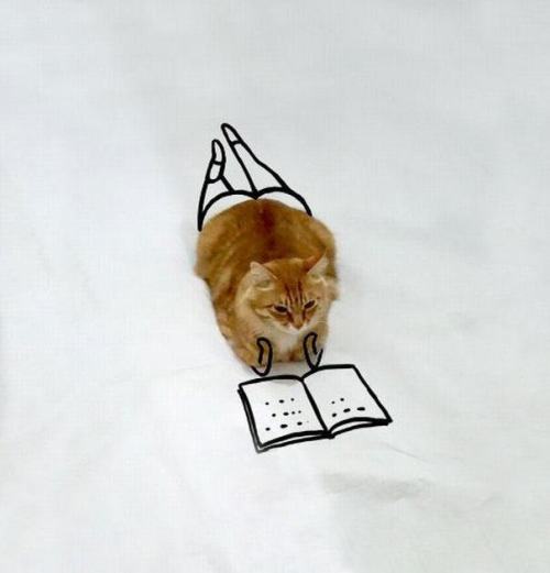 tumblr_nz01wzDMQ61qzcv7no6_500.jpg