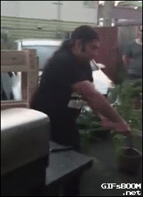 tumblr_nr10zdfmrx1s02vreo1_250.gif