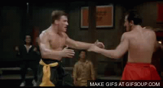 giphy.gif