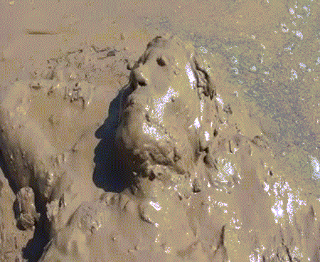 tumblr_nt2sevolln1to45i3o1_500.gif