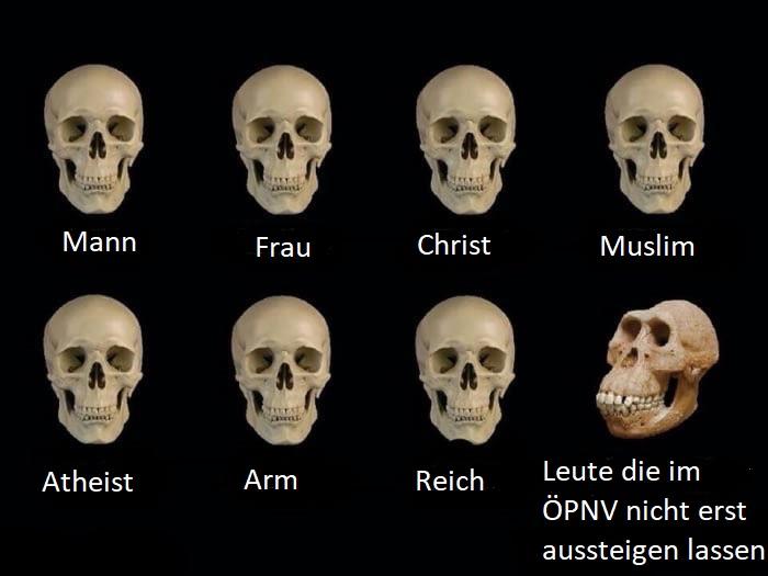 zw9m35kzu4wz.jpg