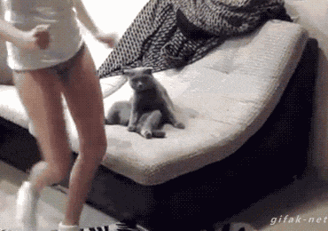 tumblr_nok4kvSd9o1s2yegdo1_400.gif
