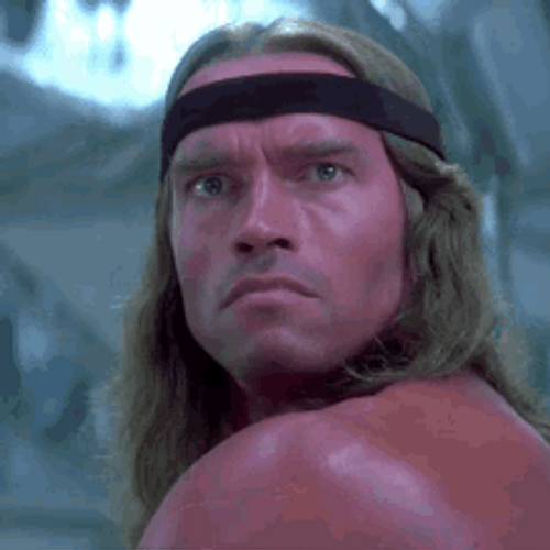 arnold-schwarzenegger-conan-the-barbarian-2nmzxz2s4pjz1vxw.gif