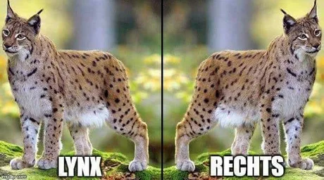 axzy5yL_460swp.webp