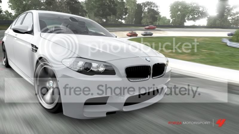 Forza43.jpg