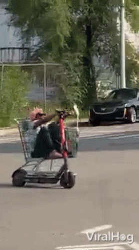 ride-viralhog.gif