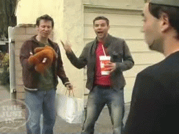 giphy.gif