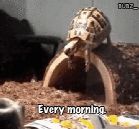 hornoxe.com_gifdump190_12.gif