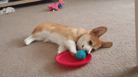 VtRb.gif