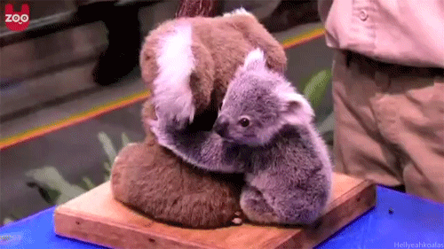 tumblr_mism3tfnuS1rrhl7jo1_500.gif