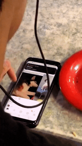 12585.gif
