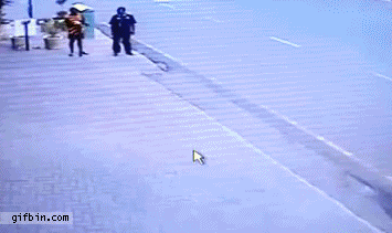 animated-gifs-61-012.gif
