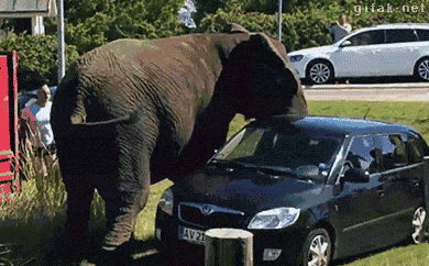 tumblr_nrmuf9nmn91s2yegdo1_400.gif