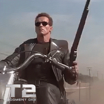 40533657ff.gif