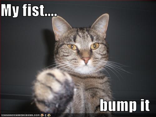 my+fist+bump+it.jpg