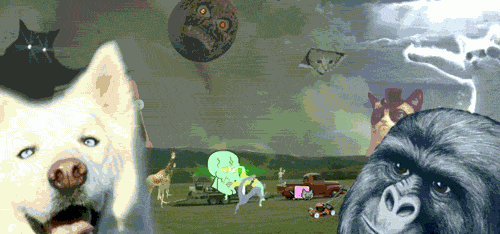 tumblr_n8ix1duXBy1qzag1wo1_500.gif