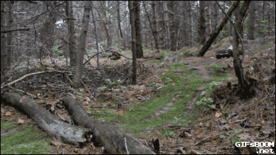 tumblr_numzwiPNxY1s02vreo1_400.gif
