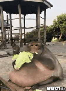 bf12950997d99f7e8646695feb7cde4c.gif