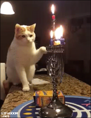tumblr_nheccfBnMP1s02vreo1_400.gif