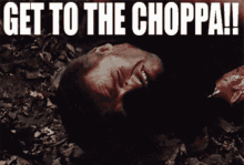 41579466gj.gif