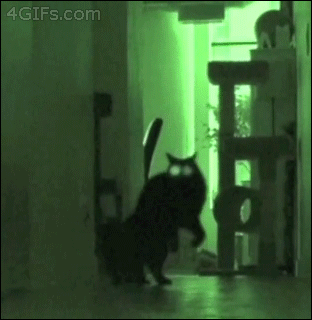lDbb9nP.gif