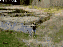 8SaJE.gif