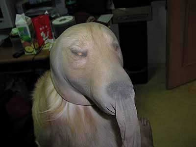 02.jpg