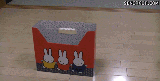 4m40E.gif