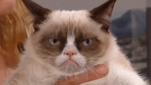 tumblr_mds39nwgZT1r5tvn4o1_500.gif