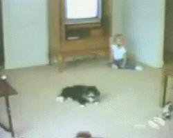 KsFmQ.gif