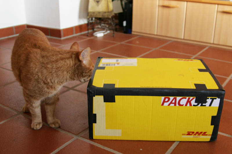 box3g6yxtl445u3fc.jpg
