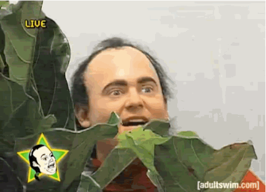 a9a607961222feea530d6478bf2f8132.gif