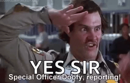 yes-sir.gif