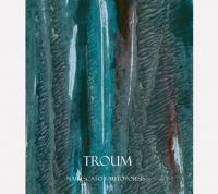 smallthumb_troum2010_163.jpg
