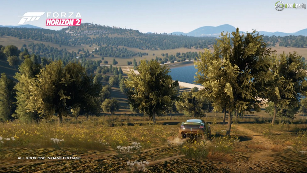 forza_horizon_2_xboxdynasty_1410521696_13.jpg