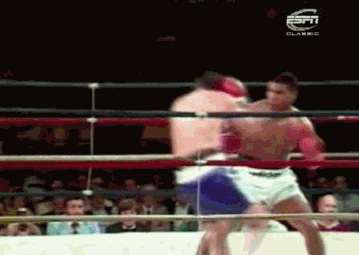 tumblr_n6kbzbG8nZ1svefdfo5_400.gif