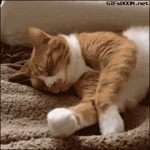 tumblr_nj1xfr0cfd1s02vreo1_400.gif