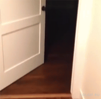 tumblr_npdkomfrNL1u2jwbho1_400.gif