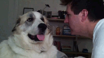 tumblr_n03m61kZww1r1hk8jo1_400.gif