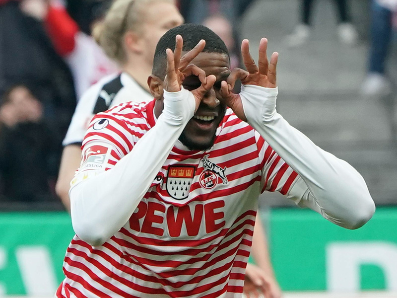 modeste800-1550930682.jpg